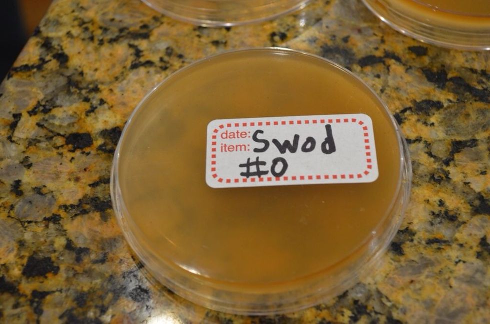 This is "swab, 0 seconds" in dyslexic.