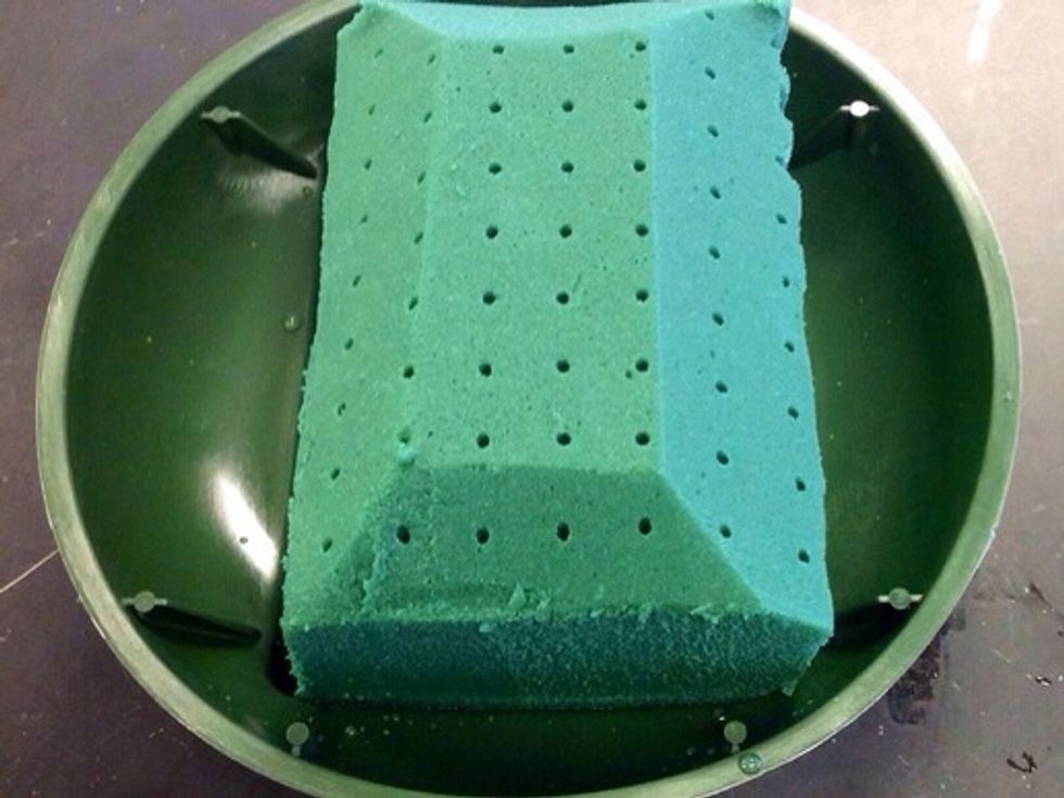 This is the 1/3 brick of oasis in a standard dish. As seen in this picture, all the sides are beveled which gives the oasis more surface area. To secure oasis, you must press the oasis with whole hand