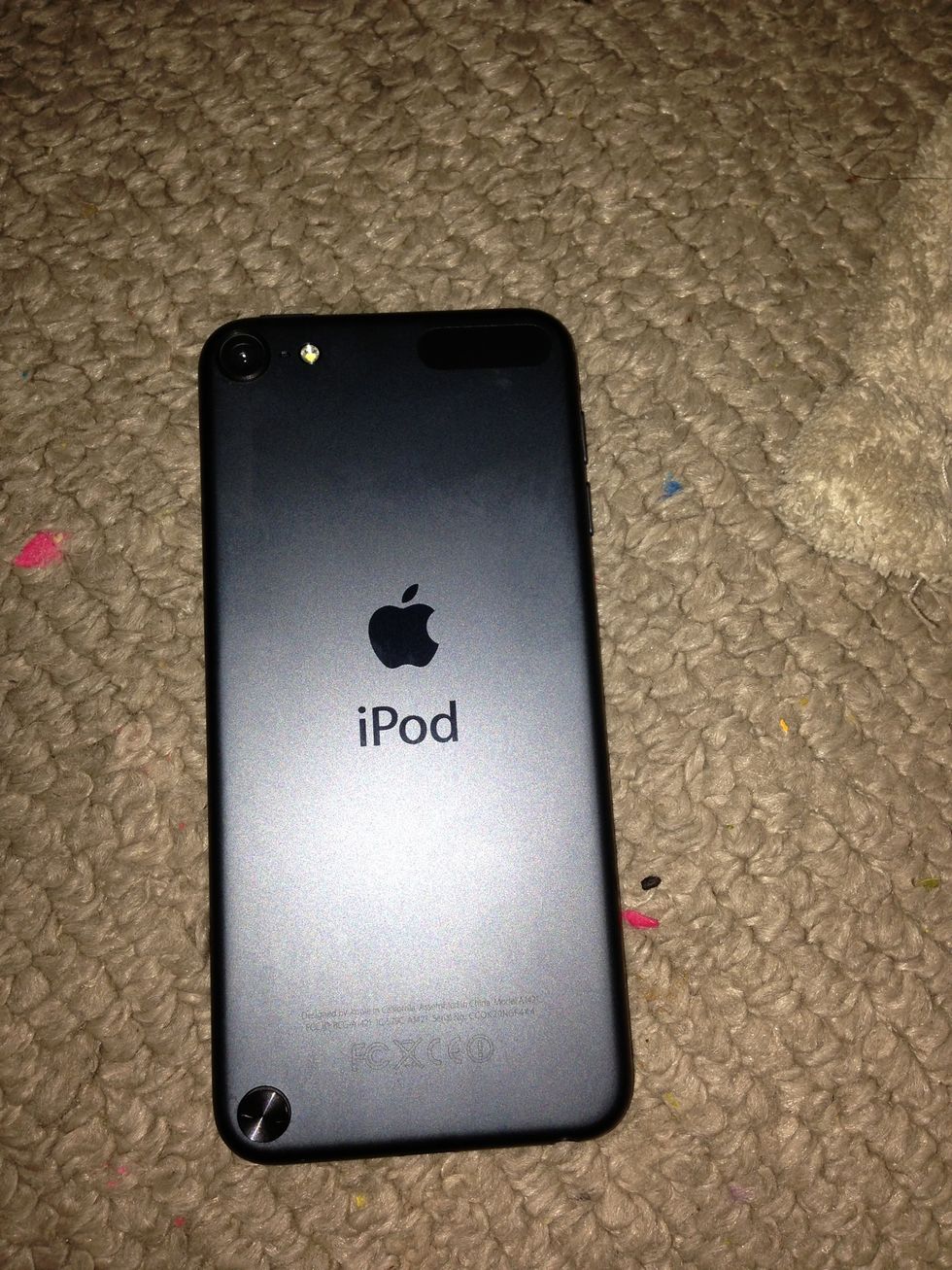 This is the back of your iPod touch. See that metal thing at the bottom left corner?