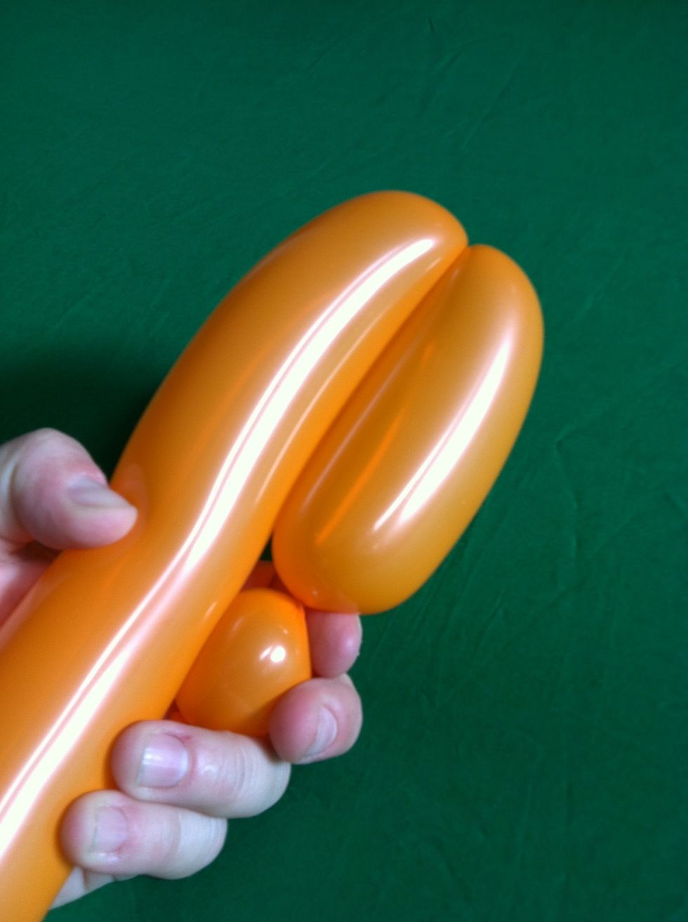 This is the basics of a "dog leg" twist- two bubbles the same size folded onto each other