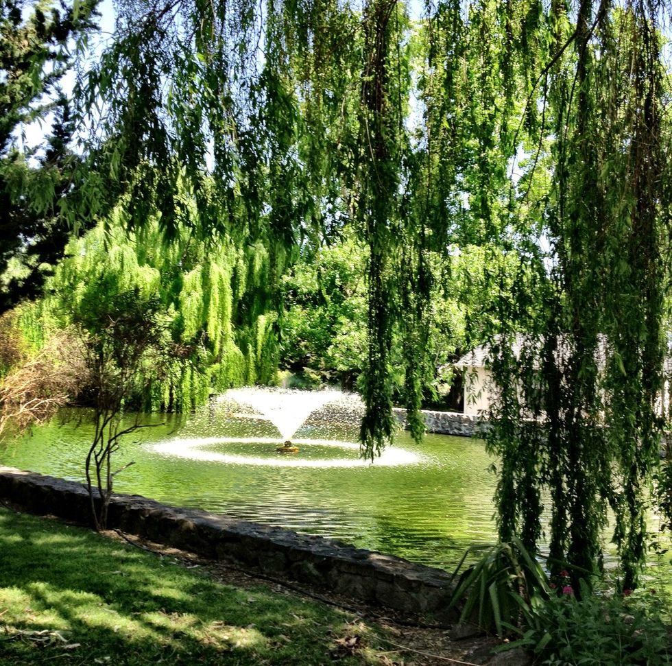 This is the beautiful grounds found at Cline Cellars, a winery that paired wine tasting with homemade sausages hot off the grill!