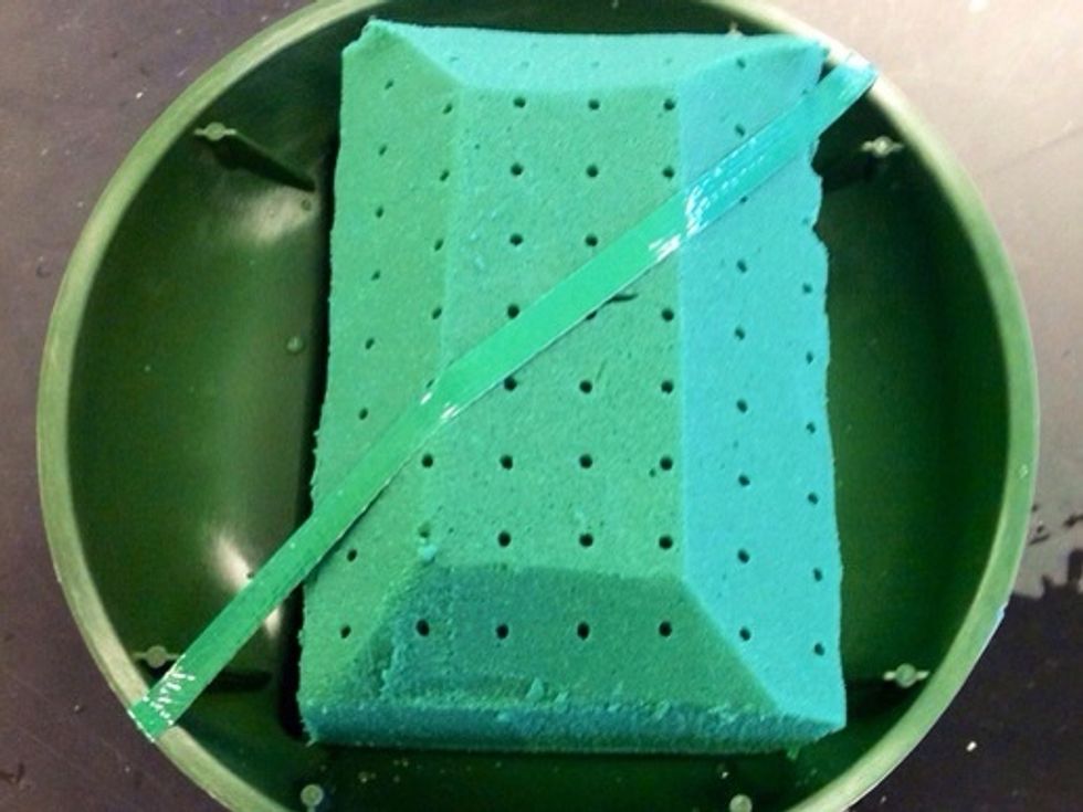 This is the brick of oasis in the standard dish. As seen in the picture, there is a piece of anchor tape going diagonally across the oasis. The anchor tape supports the oasis to the dish.