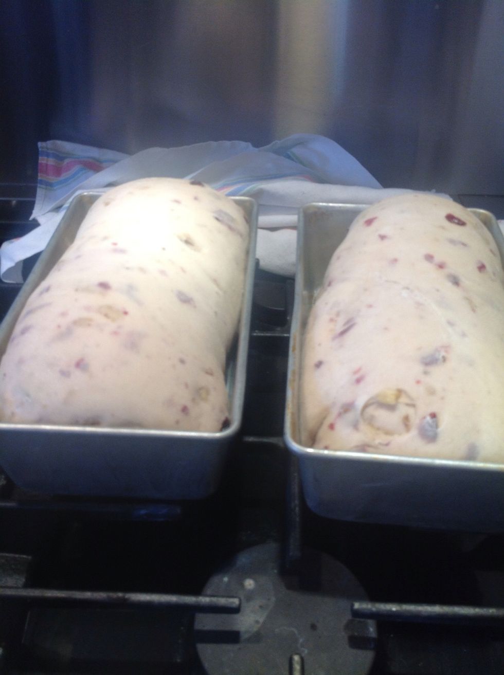 This is the doubled dough...now time for shoving it in the oven.