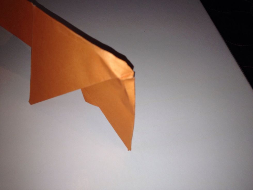 This is the end of the pig fold a little tail
