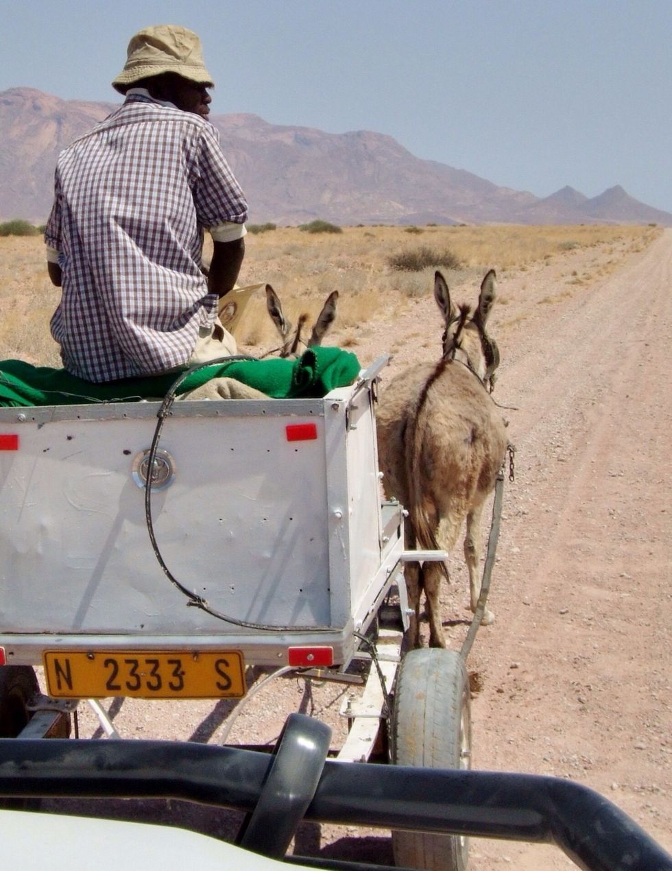 This is the largest traffic jam you'll experience!