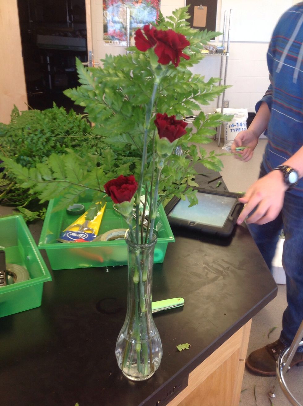 This is the Leather Leaf with the main three carnations needed for the bud vase.