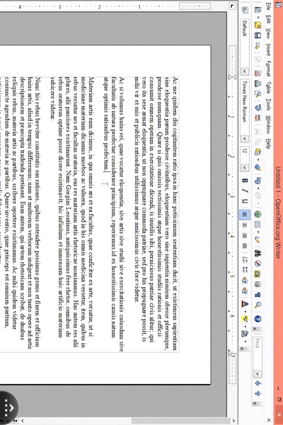 This is the MICROSOFT WORD of OPEN OFFICE.