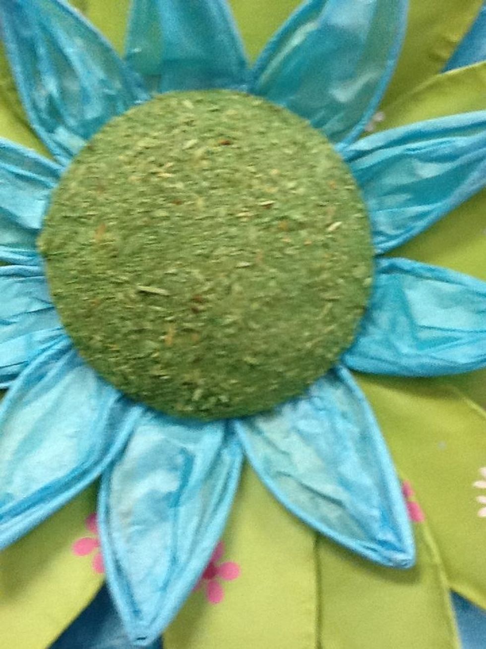 This is the middle of a flower in the classroom which represents a circle.