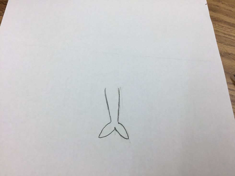 This is the outline of her tail