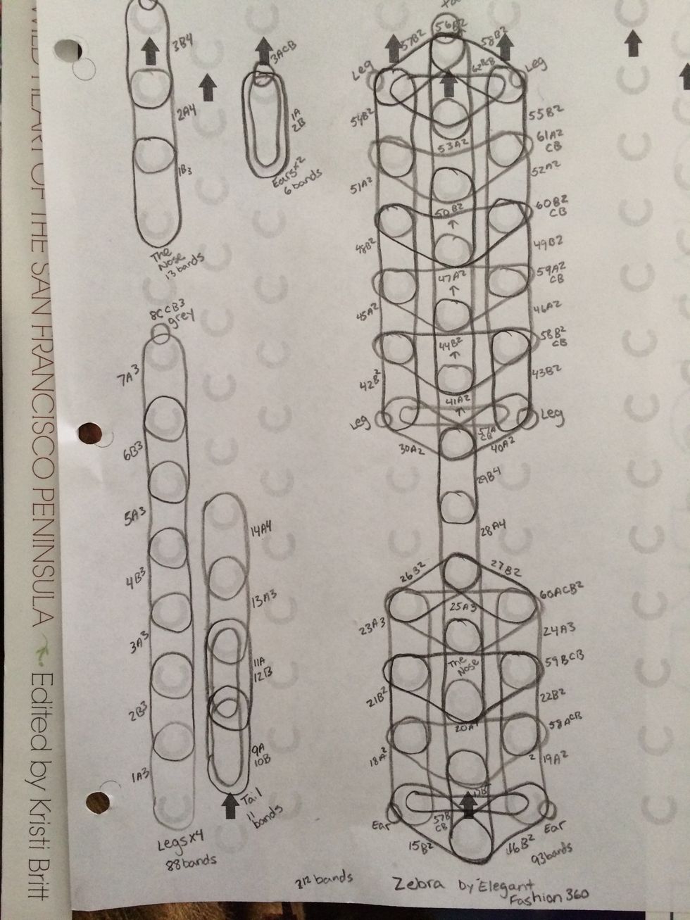 This is the pattern for the zebra that we will be following today. I will take closer pictures as we move through the steps