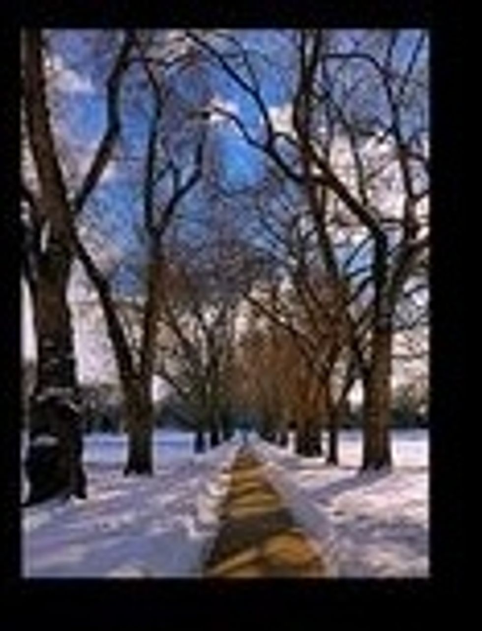 This is the reference photo for this project.