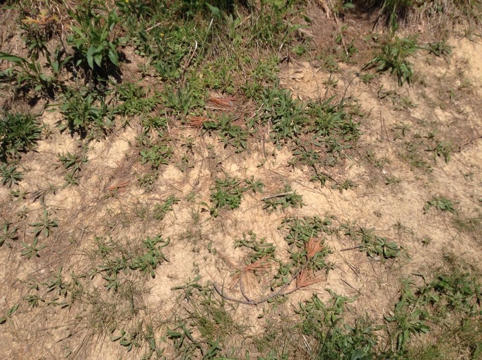 This is the result of water and other causes eroding the ground. (Erosion)