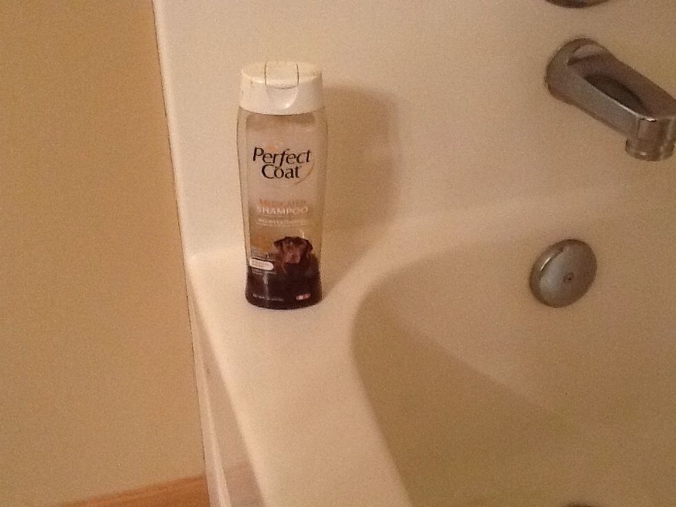 This is the shampoo I use for my dog.