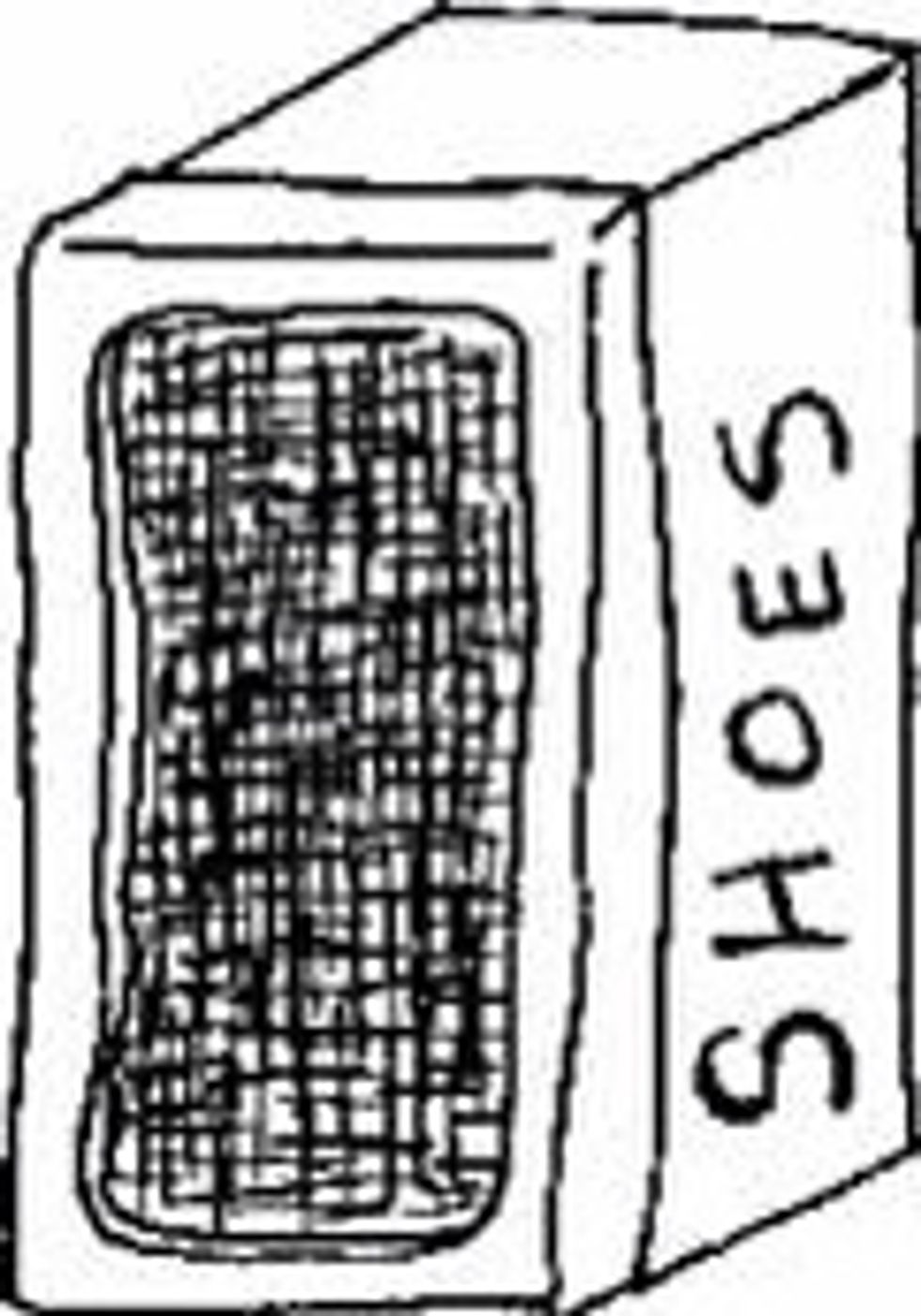 This is the shoe box cage. You basically just need to cut a big rectangle on the lid and hot glue chicken wire over that. This way the caterpillars/butterflies stay in and they can hang from the wire.