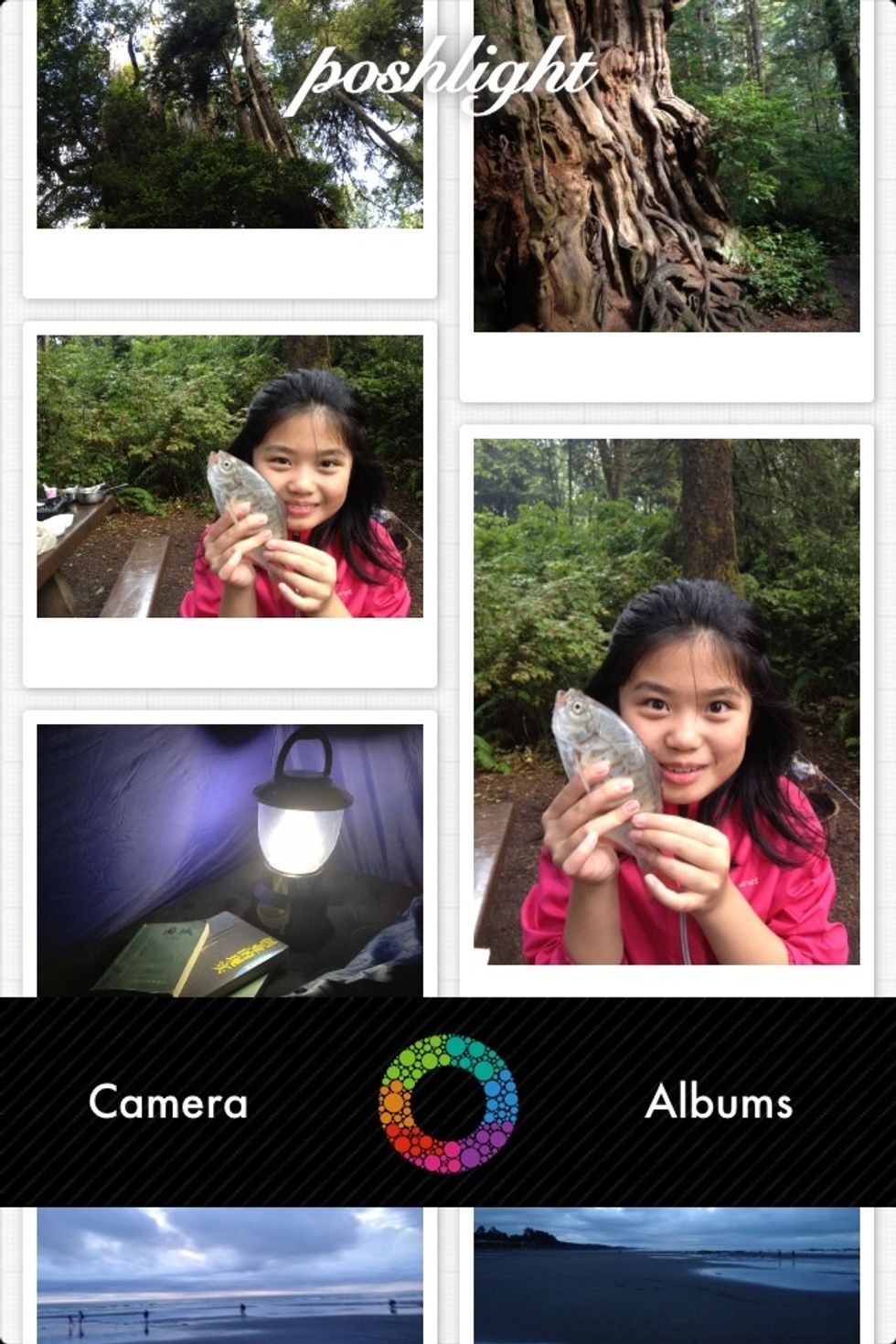 This is the start screen of poshlight, all photos in your cameraroll are there. You can tap on any photo to start editing it. Or you can take a photo or select from albums.
