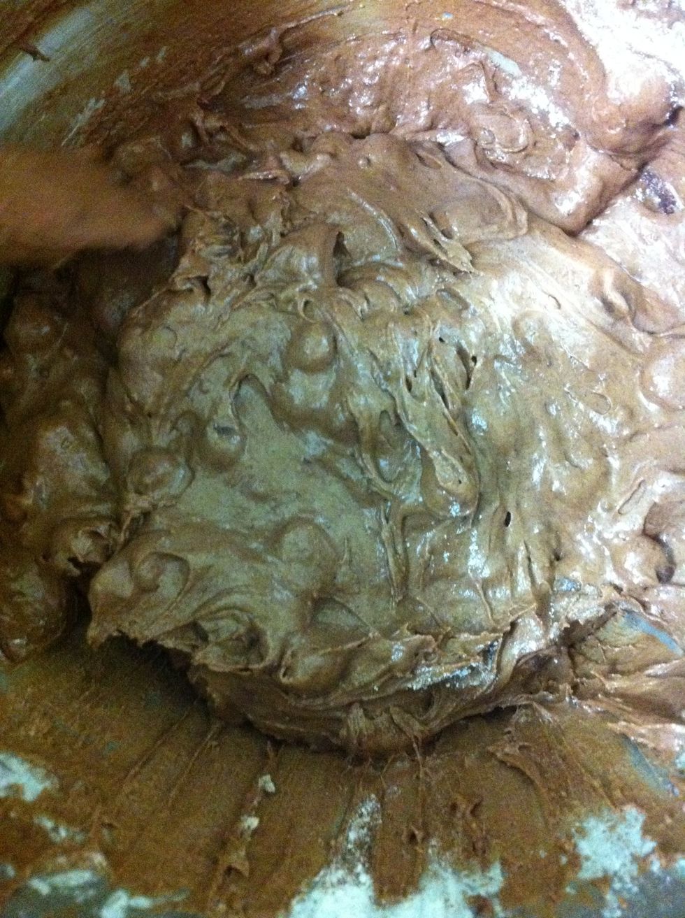 This is what all the ingredients combined should look like