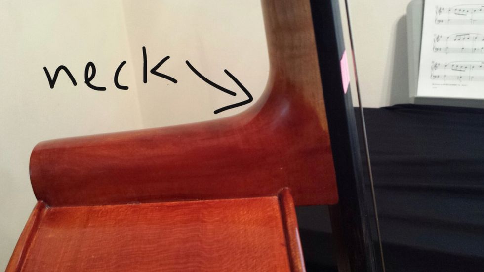 This is what I'm referring to when I say "neck."