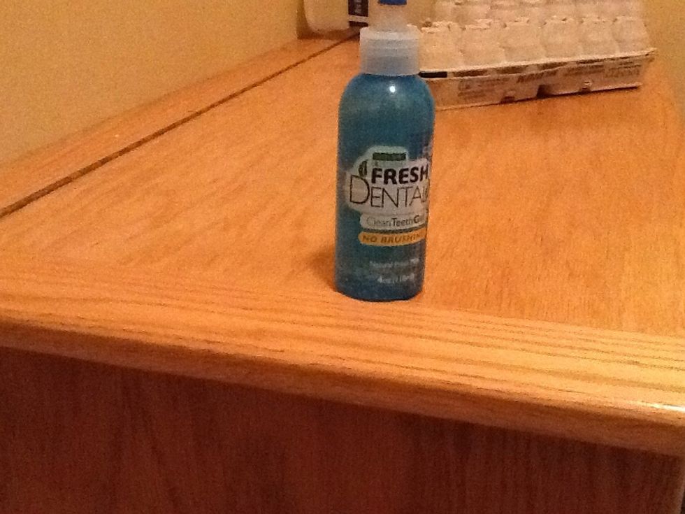 This is what I use to clean my dogs teeth..