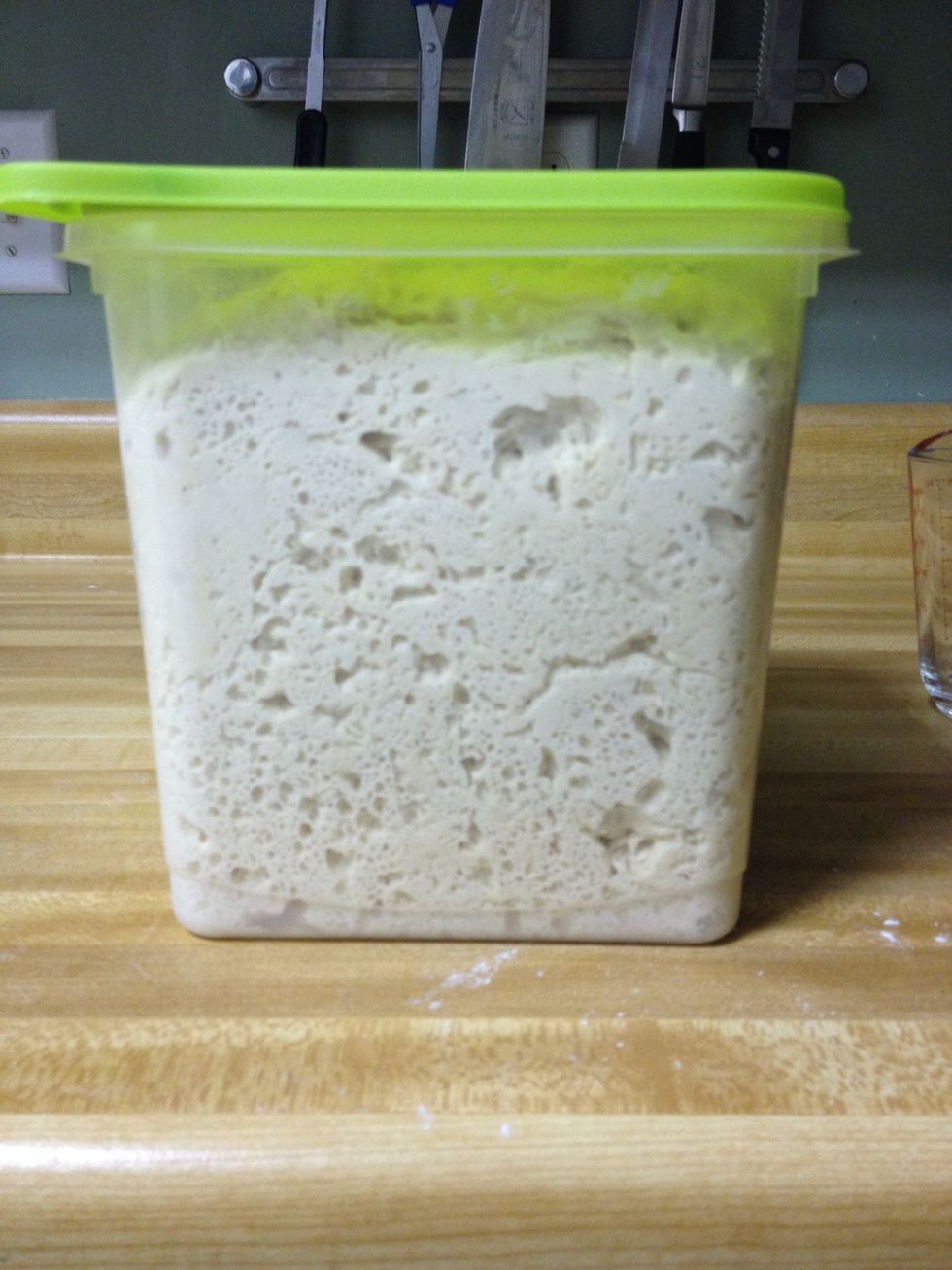 This is what it looks like when risen. You can pull some off now and bake or put in fridge for later. You can use it up to 1 week.