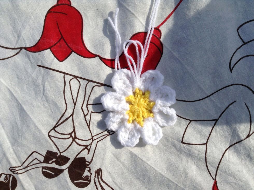 This is what it should look like at the end of this row. Join with a sl st to the 1st sl st.