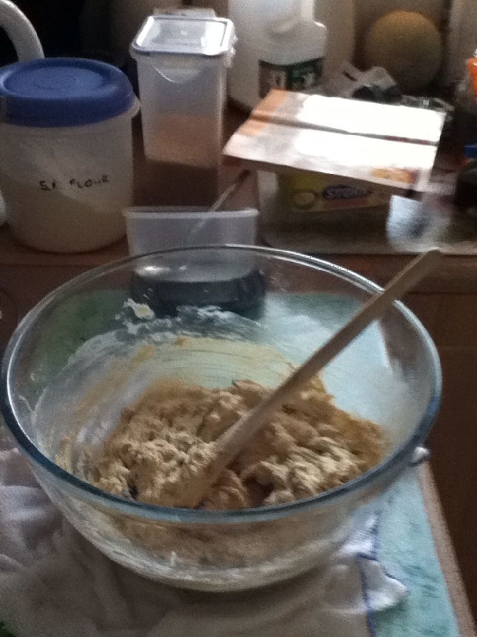 This is what it should look like