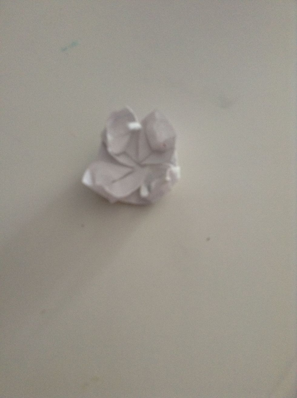 This is what it should look like