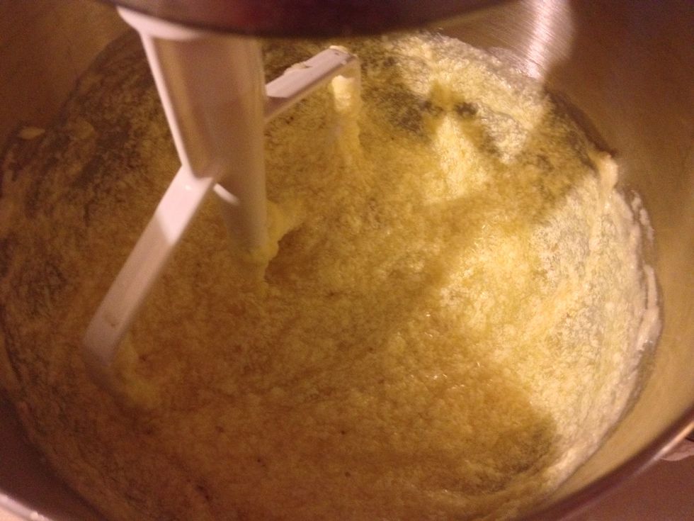 This is what it will look like at this point. Not very pleasant looking.