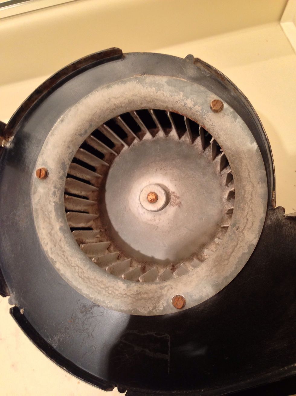 This is what my fan looks like after its been vacuumed.