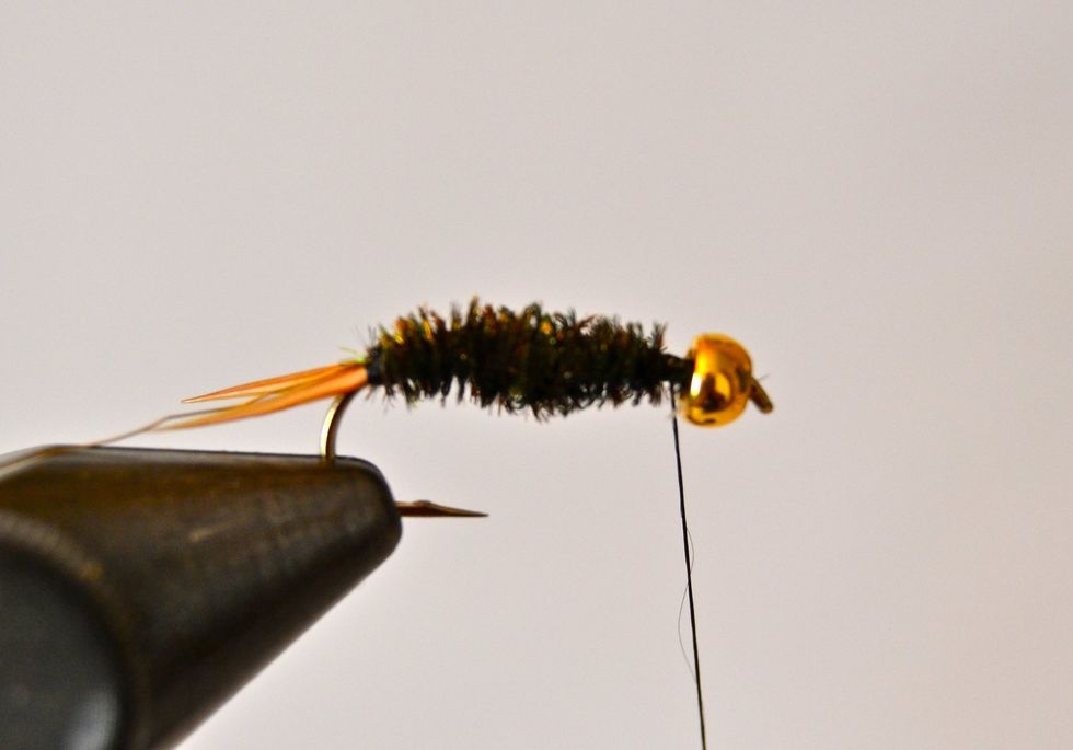 This is what the body looked like when finished wrapping the hurl forward. Notice the thick middle and tapered ends.