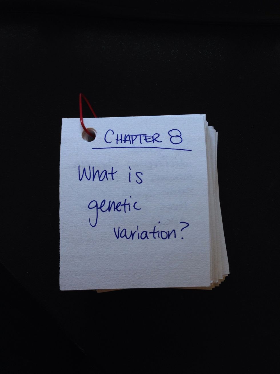 This is what the end product should look like.