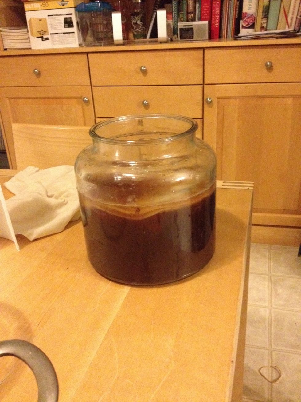 This is what the kombucha looks like when it's ready to be put away to ferment. Find a warm place with some air flow. Not a closed cabinet. Indirect light is okay-  don't put it in direct sunlight.