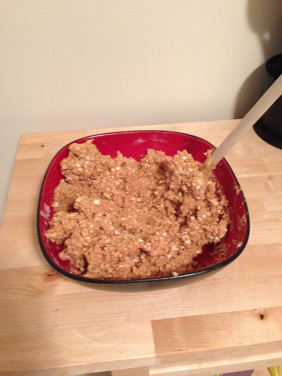 This is what the mixed concoction looks like.
