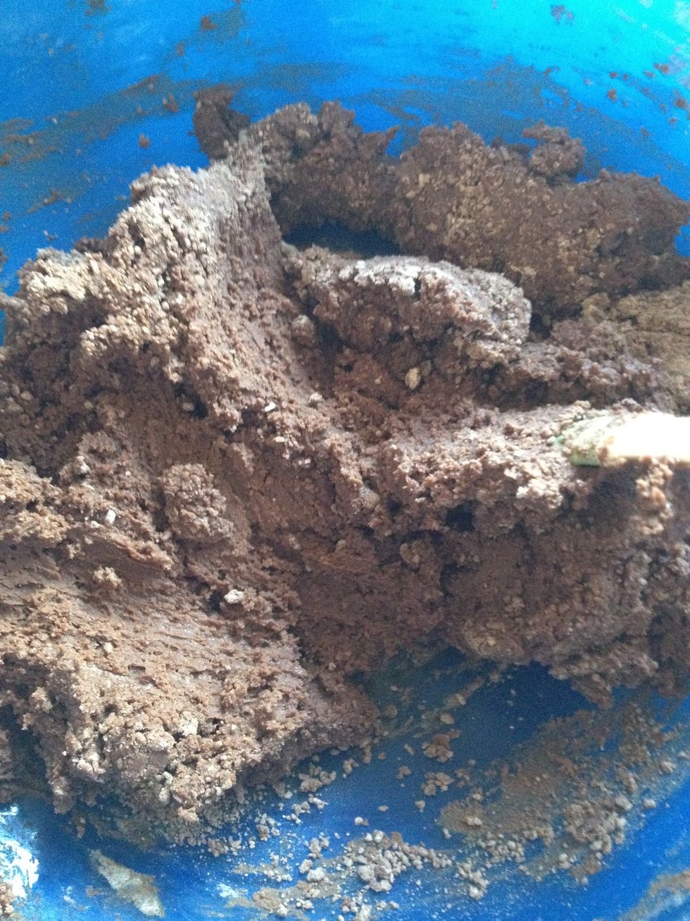 This is what the mixture looks like after all of the sugar and cocoa had been mixed into the creamed butter and is ready for the wet ingredients.