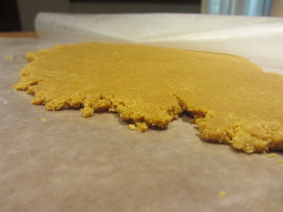 This is what the rolled out patty should look like.