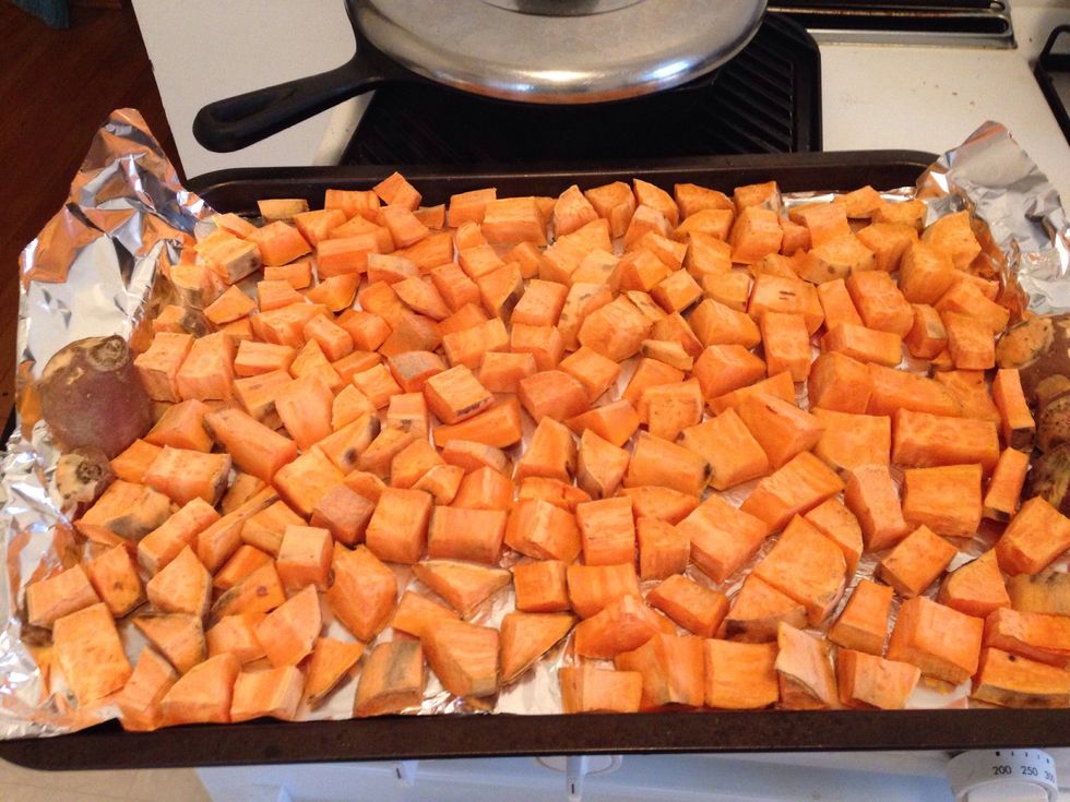 How to make sweet potato dog treats - B+C Guides