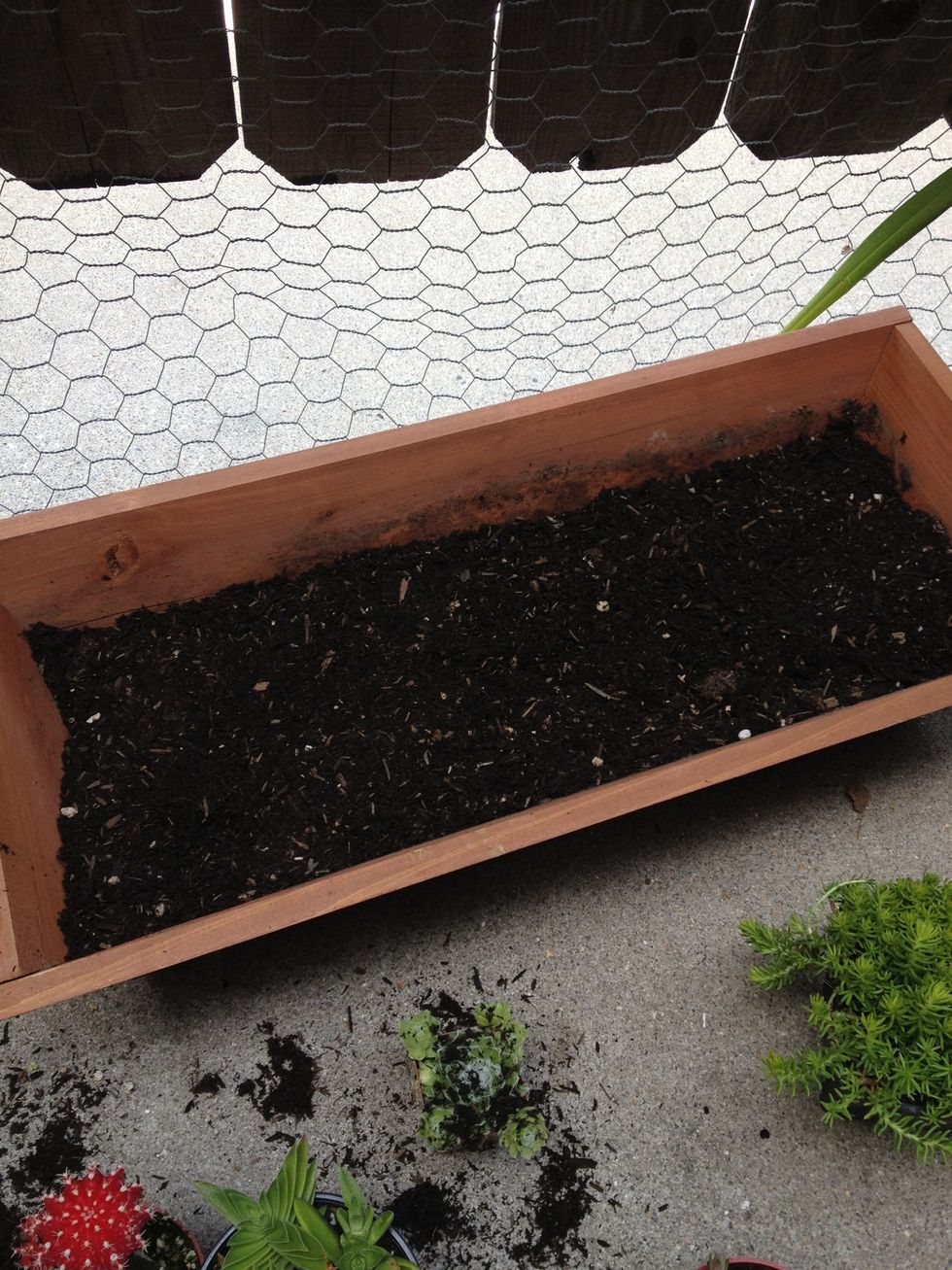 This is what your planter box should look like before planting: half way full.