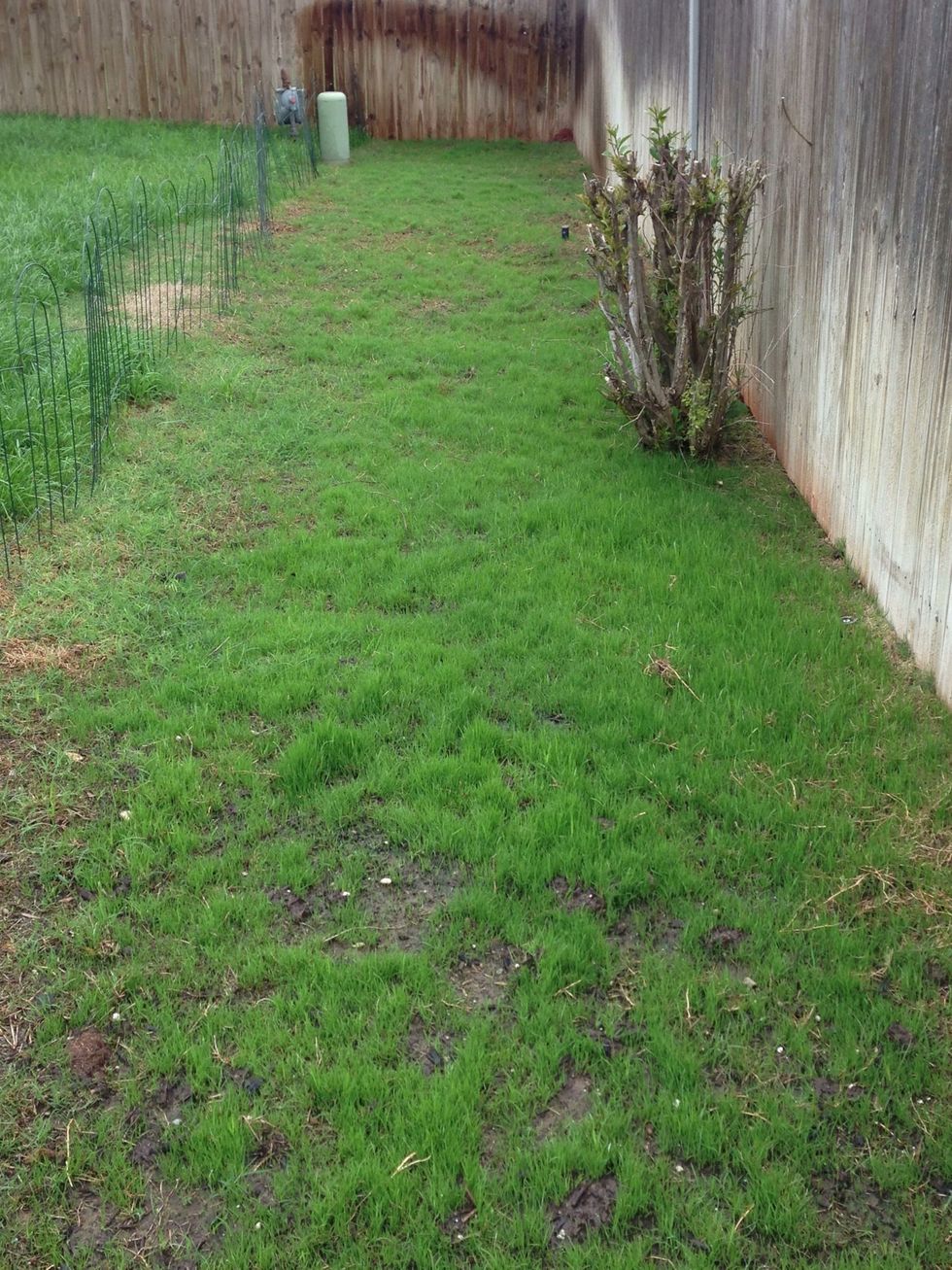 This is where patience comes in handy.