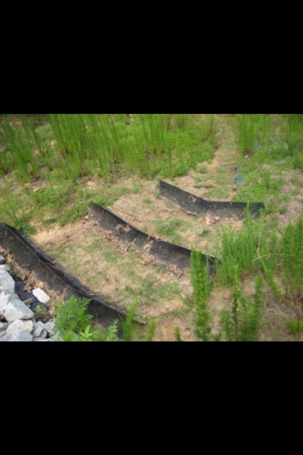 This last example of prevention prevents deposition. The "barriers" on this hillside prevents the broken down sedenents from tumbling down the hill (going through deposition).