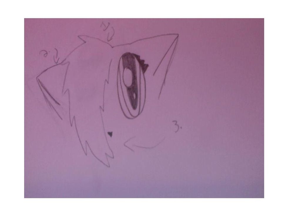 This looks kinds hard but it's not. draw a spiky tail down where the other eye would go to make the bangs and just add another ear and a small triangle nose. Adjust the ears so they're about the same.