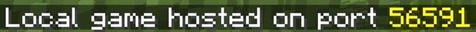 This message will show up on your screen in chat. Of course, the the number will be different, but be sure to remember the number shown on YOUR screen.