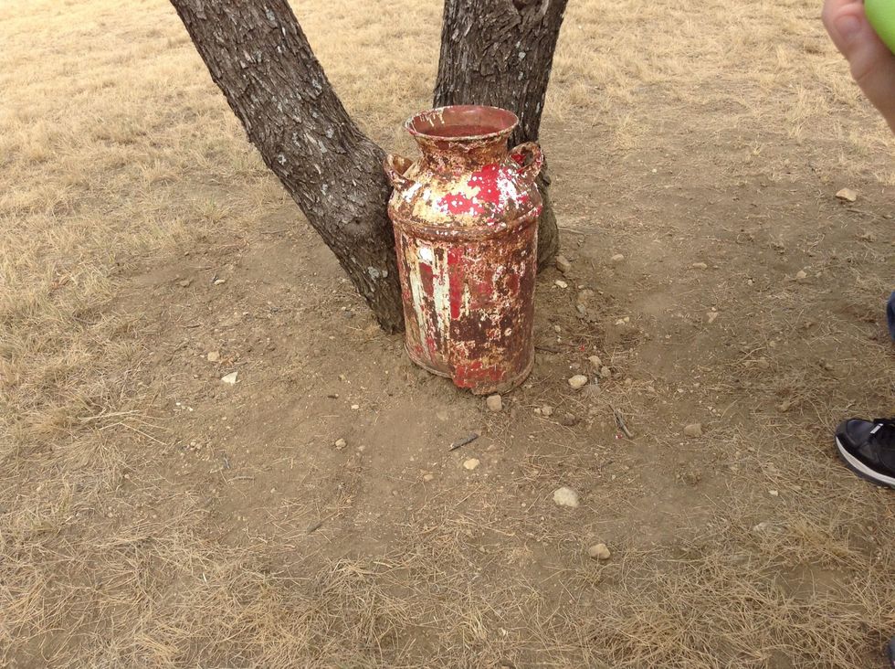 This milk can looks old and rusted from rain.