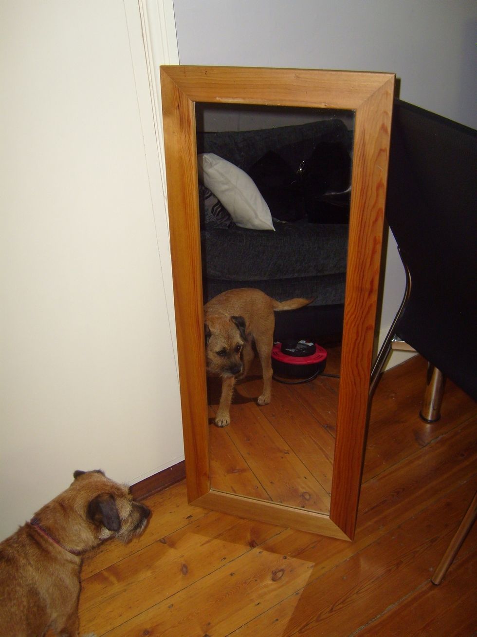 This mirror is used every day and is something that everyone sees but it's not great and was only cheap (looks it too). As my first journey into chalk paint I thought this would be an easy project.