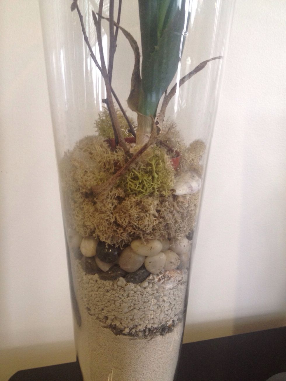 This one includes a succulent in a small pot.