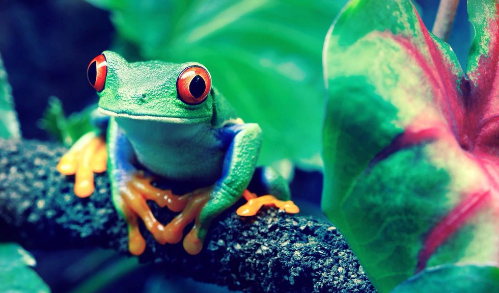 This photo has the "Hollywood" color filter applied.