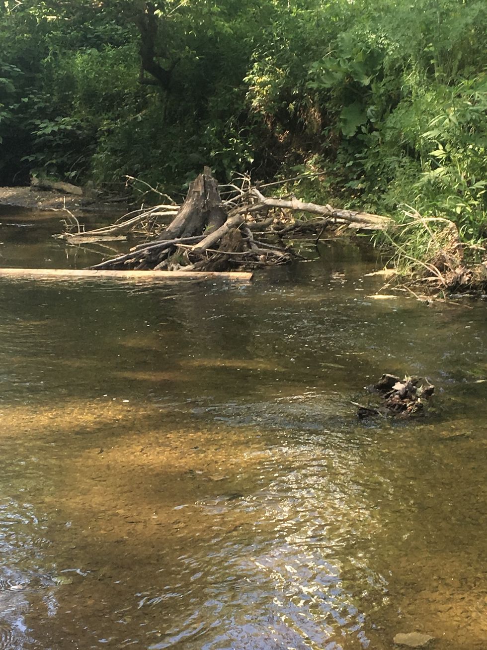 This photo is deposition. We know this because in the photo the creek is picking sticks and other things up and putting them somewhere else.