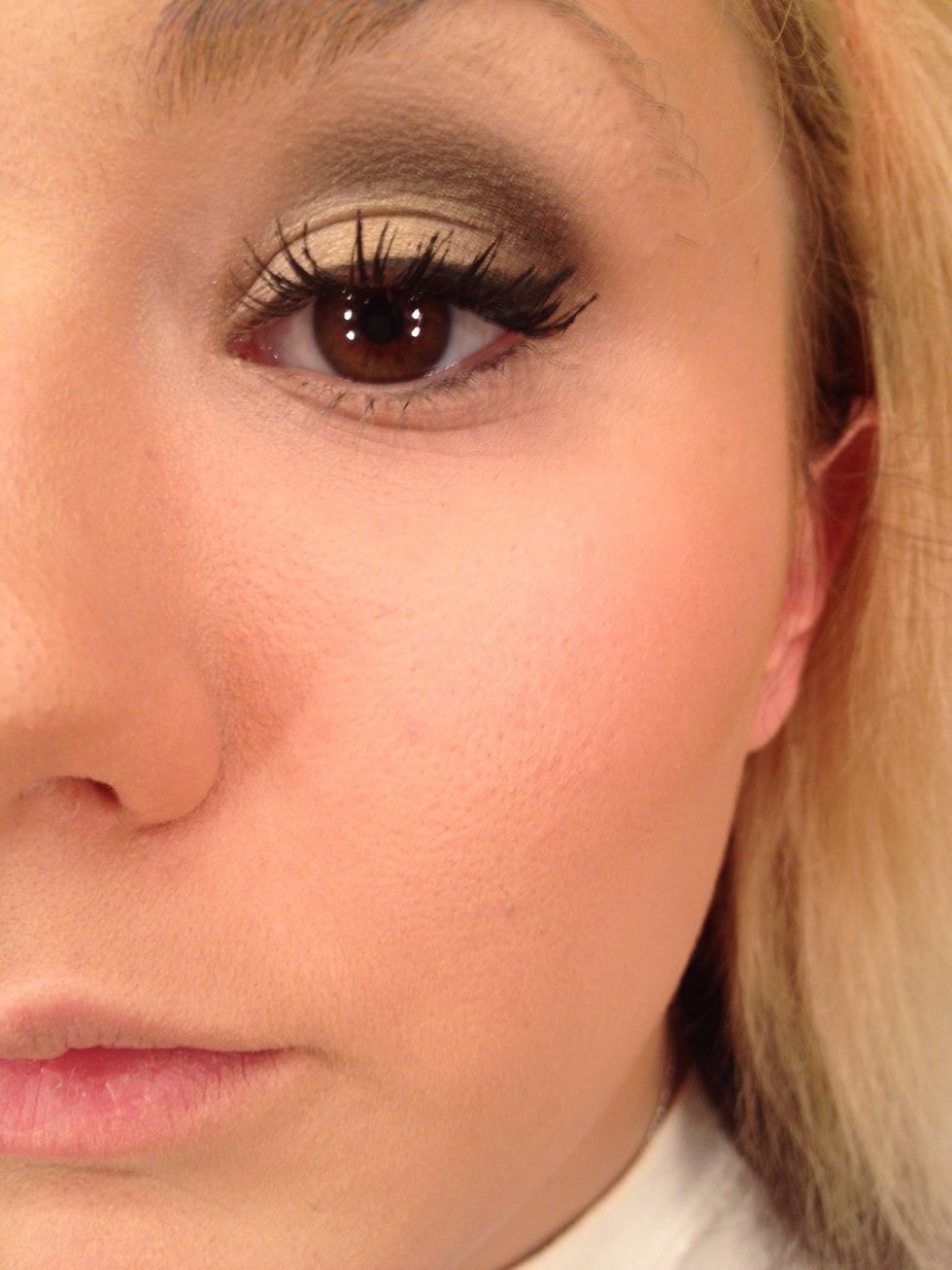 This pic is a little more clear