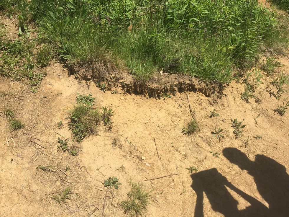 This picture is representing a hill that has been eroded. We can infer this because it looks like dirt used to be there but water came and took it somewhere else