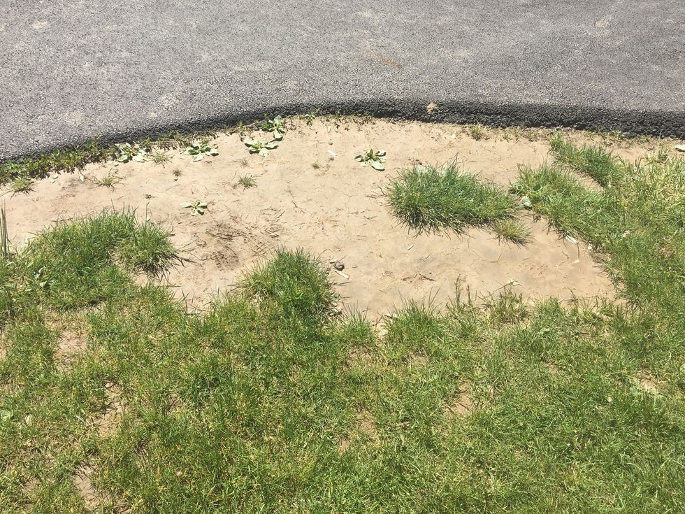 This picture is showing weathering. We know this because in the picture we can see that grass used to be there and that it got taken away
