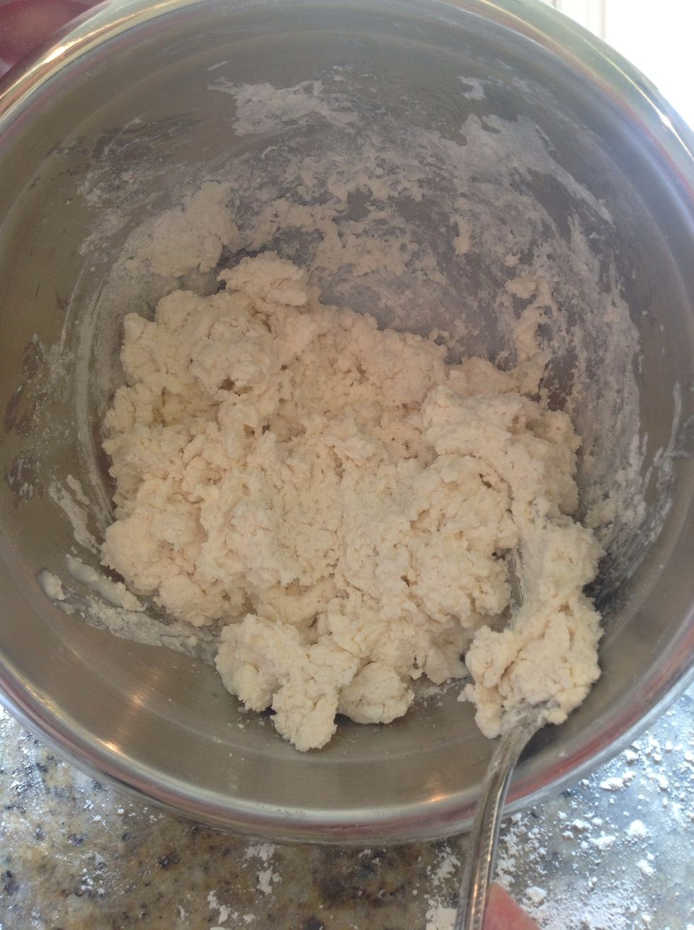 This picture shows the dough when I added a bit too much milk- see the cottage cheese consistency? I just added flour and it was fine, but wanted you to see! Too much milk add flour, too dry, add milk