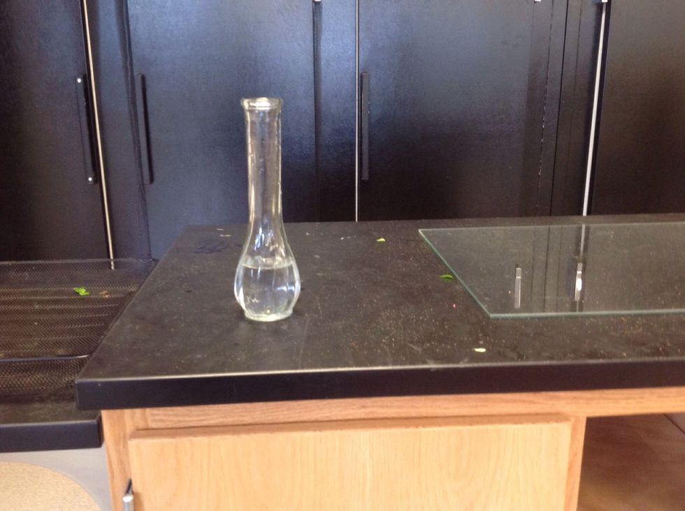 This the vase before the mums, carnations, gip, and the leather leaf is added